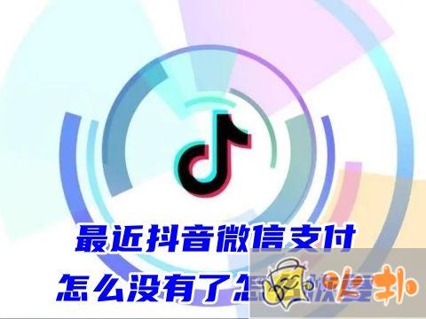 最近抖音微信支付怎么沒有了怎么恢復 抖音微信支付怎么開通